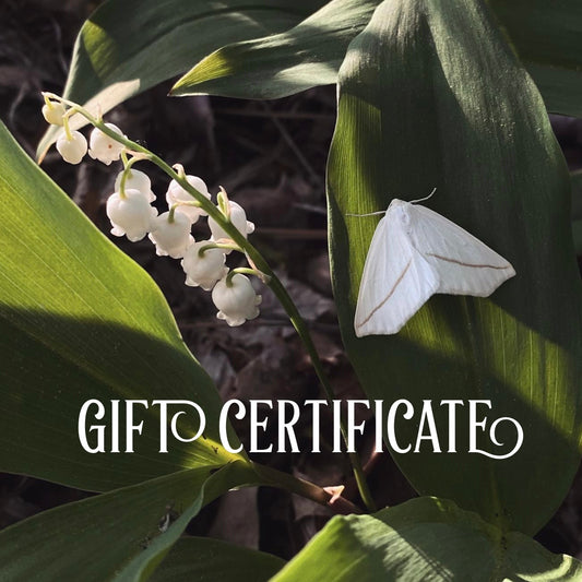 Gift Certificate for Leila